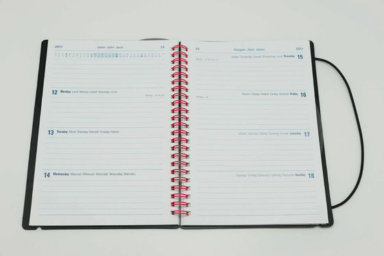 2023 216*160mm Frosting Rubber Softcover 70 Gsm Offset Paper Notebook Printing Service