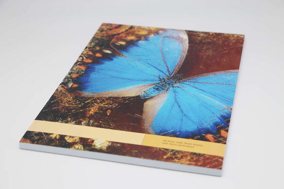Butterfly Pattern CMYK Full Color Paperback Offset Paper Notebook Printing Services