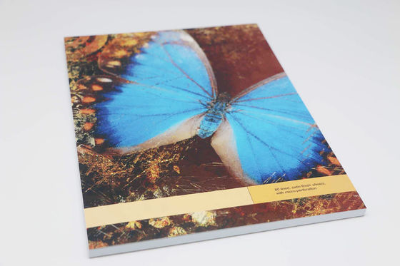 Butterfly Pattern CMYK Full Color Paperback Offset Paper Notebook Printing Services
